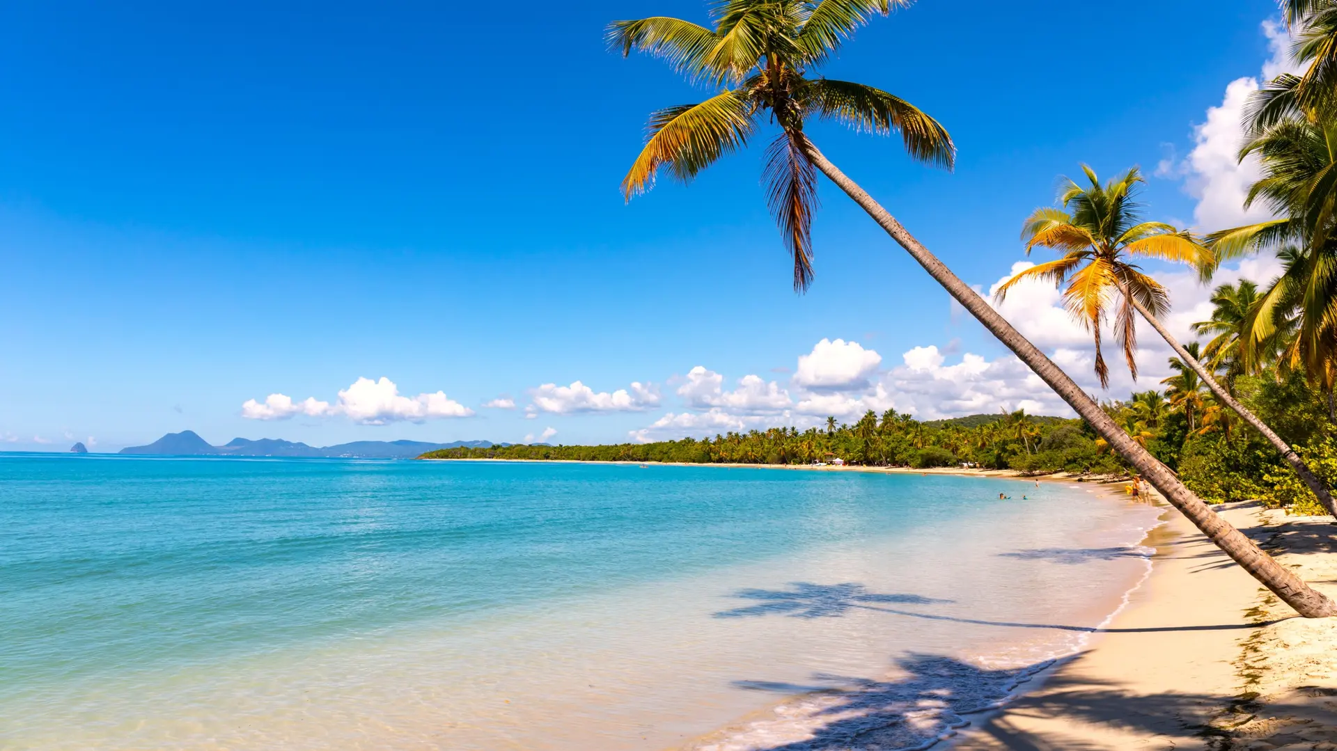 Plages paradisiaques