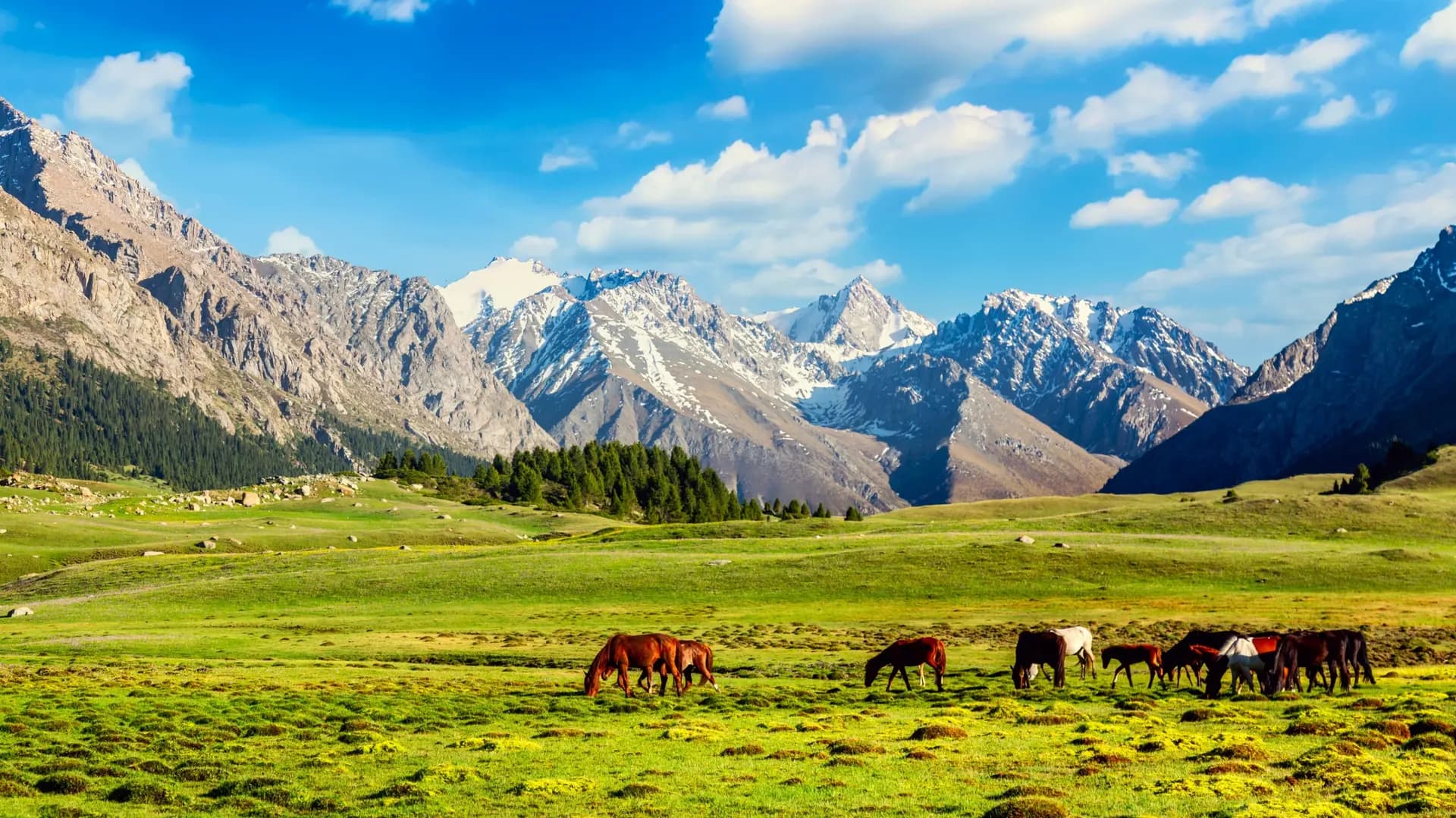 Montagnes Tian Shan
