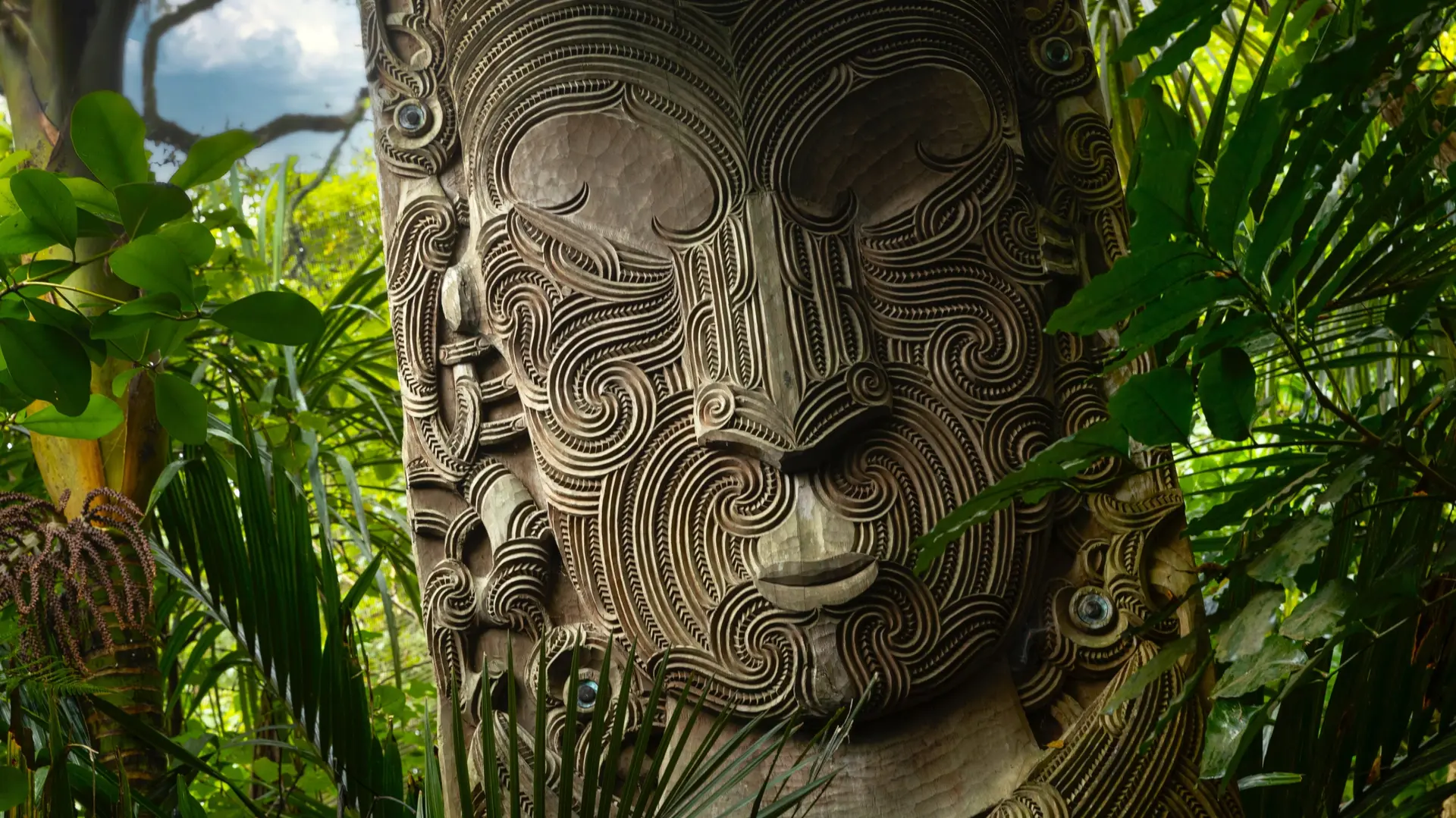 Culture maorie vivante