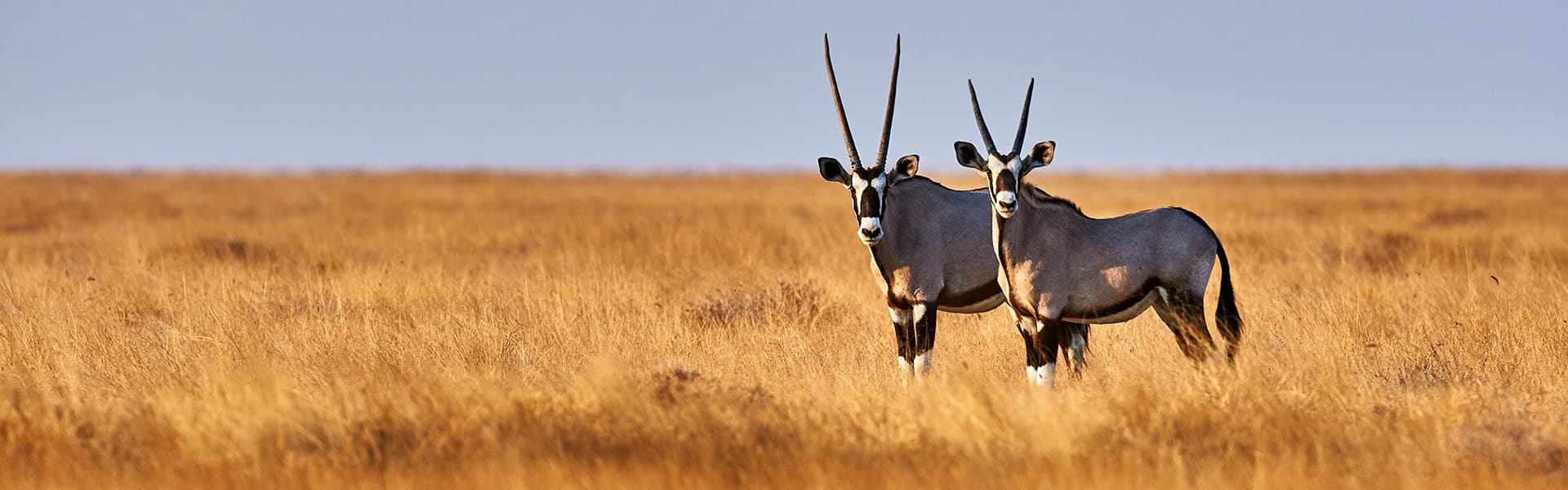 Namibie
