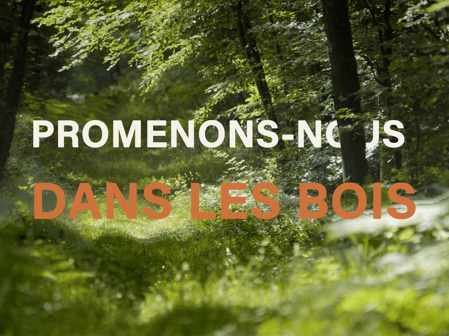 Week-end rando et bivouac en Forêt de Fontainebleau