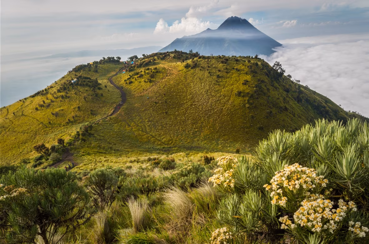 Merbabu: ascension de la "montagne de cendres"